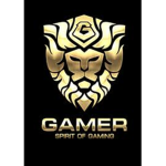 GAMERS RSA