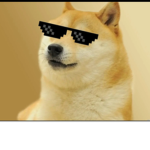 The dying doge foundation