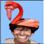 The Flamingo/Albert Fan group For only BIG fans