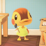 • Animal Crossing •