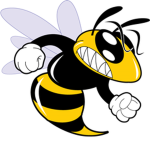 Matth The Wasp Fan Group