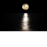 Night in the moon
