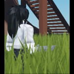 Survival The Jeff The Killer