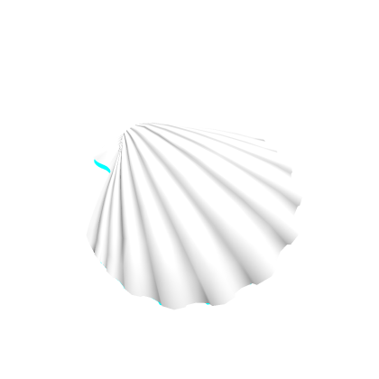 seashell