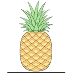 Mini Pineapples Squad