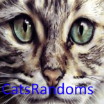 CatsRandoms
