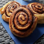 Cocoa Snail