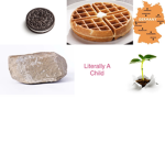 Waffle’s Waffles