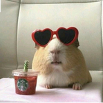 its.Eve_Roblox