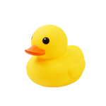 Ducks clothes