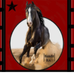 *+Red Bandit Equine+*