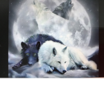 White Wolfie Squad