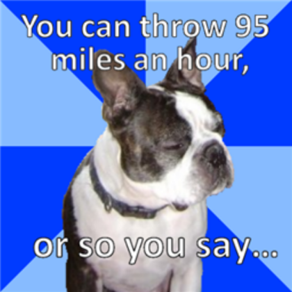Skeptical dog meme Roblox decal