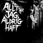 allt jag aldrig haft