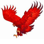 JaxHawk