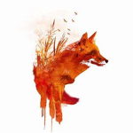 SaveAFox