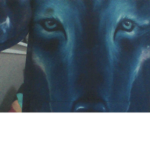 GALAXY WOLF DONATION GROUP