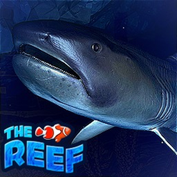 Before game thumbnail