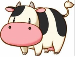 Moo squad!!!!
