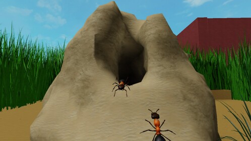The Garden of Ants (remaster)