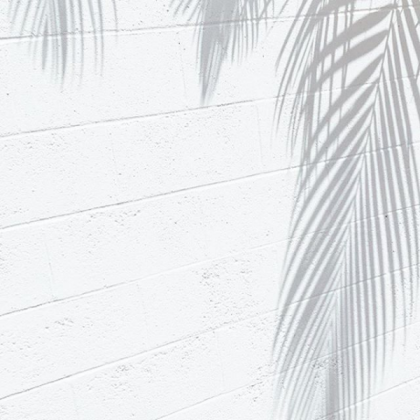 white aesthetic Roblox decal