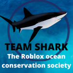 #TEAM SHARK!