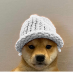 AYoungFur's clothing group