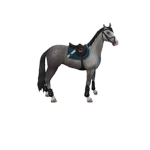 Monty Riding Academy