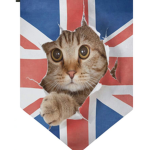 BRITISH MATE’S