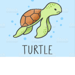 We Love Turtles Group <3