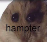 THE HAMPTER