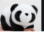 The AJ Panda Fam