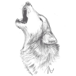 ~*~Wolf Gang~*~