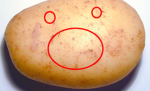 BIGMAN ARMY