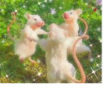 -Ratties-