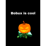 The bobux server