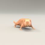 Rats6996