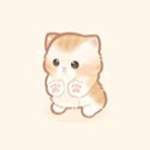 Meow prrr Squad