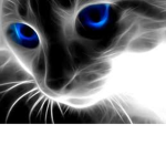 Roger_crak123