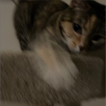 #ANTISTITCH Group Thumbnail