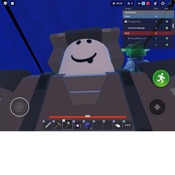 Capture the flag