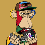 LA TEAM MACAQUE