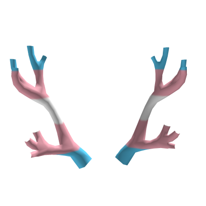 Trans Sakura Antlers Addon 🌸🦌 Roblox item