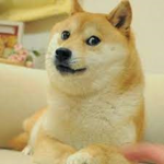 D.O.G.E. Army!