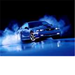 I Love Mustangs!