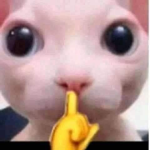 HXLLO