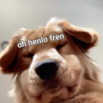 ᴘᴜᴘᴘʏꜱᴀʀᴇᴄᴜᴛᴇ!