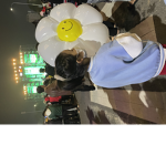 Gudetama. :)