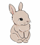 ≈Bunny’s Group≈