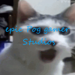 epic pog game studios